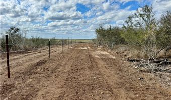 332 CR 171, Alice, TX 78332