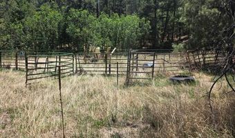 17775 County Road 51, Boncarbo, CO 81024