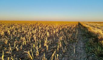 State Highway 214, Adrian, TX 79001