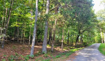 12730 Weatherly Switch Rd, Apison, TN 37302