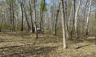 1544 Willard Lake Rd NW, Backus, MN 56435