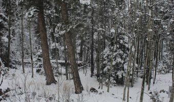 El Camino Real lot 684, Angel Fire, NM 87710