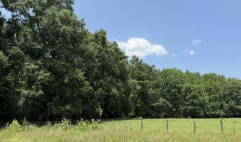 6925 Cobbham Rd, Appling, GA 30802