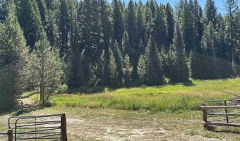 10324 Peterson Loop, Cascade, ID 83611
