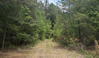 452 Tram Rd, Cades, SC 29518