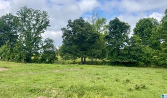 988 MINES Rd 100, Ashland, AL 36251