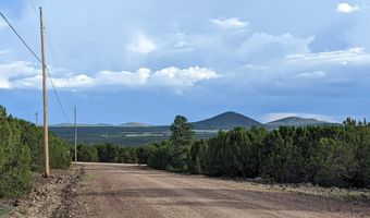 Lot 30 N Ricks Road, Vernon, AZ 85940