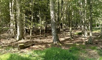 Mansi Drive, Albrightsville, PA 18210