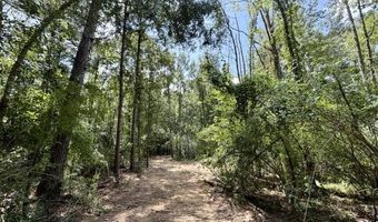 SE Lee Drive, Bogue Chitto, MS 39629