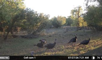 489 County Road 243, Afton, TX 79220