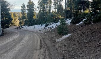 Vail Loop lot 352, Angel Fire, NM 87710