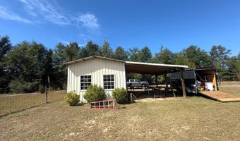493 Mcduff Dr, Alford, FL 32420