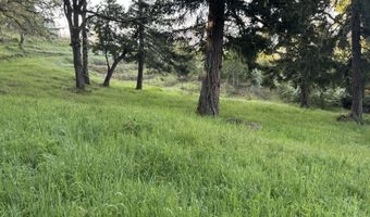 SE Rice Ln, Amity, OR 97101