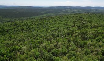 TR 18 & 19 LONG CREEK PASS, Albion, OK 74571