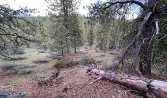 Whitetail Lane Lot 22, Bonanza, OR 97623