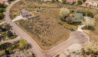 19 Roan Creek Dr, Battlement Mesa, CO 81635