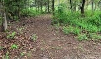 7011 County Road 429, Ava, MO 65608