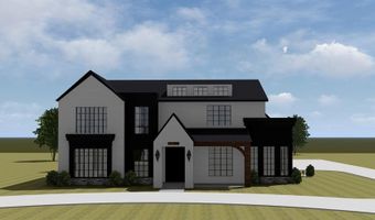 Tbd Longhorn Drive, Alba, TX 75119