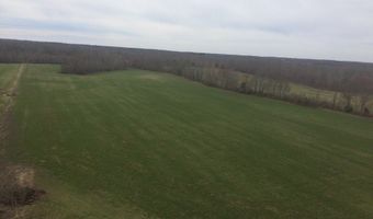 SULPHUR CREEK RD, Big Sandy, TN 38221