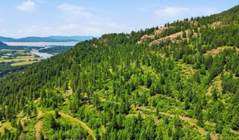 1010 Mc Quade Gulch Dr, Clark Fork, ID 83811