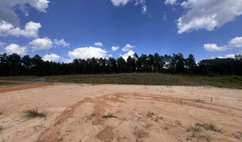 243 Rough Rdg Trl 19, Aberdeen, NC 28315