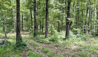 171 Vegas Ln, Beebe, AR 72012