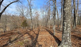 County Road 529, Ava, MO 65608