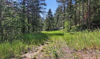 Spiritwood Ln, Bellvue, CO 80512