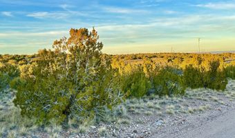 136 Zuni Dr, Concho, AZ 85924