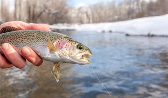 350 STAN MILLER 102, Breckenridge, CO 80424