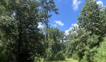 0 Christi Smith Rd, Andalusia, AL 36421