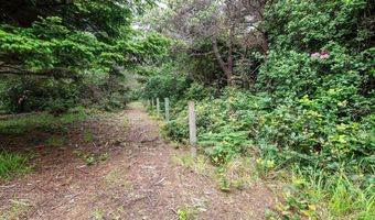 88675 WHITING Ln, Bandon, OR 97411