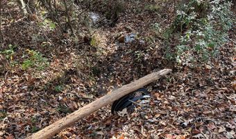 13962 State Highway 95 N, Abbeville, AL 36310