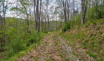 2789 Dry Fork Rd, Bandy, VA 24602