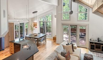314 Mountain Laurel Dr, Aspen, CO 81611