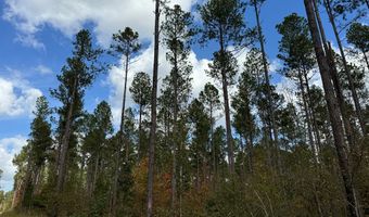 02 Seneca St Ext, Calhoun Falls, SC 29628