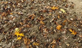 170 Th St, Albia, IA 52531