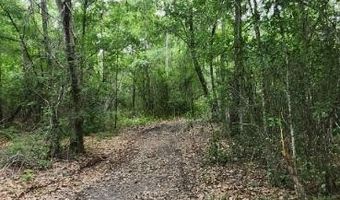 0 Peapatch Rd, Biloxi, MS 39532