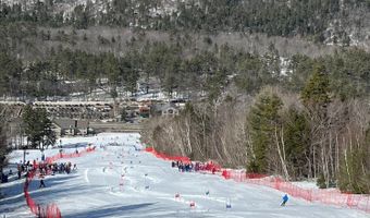 32 Top Notch Rd, Bartlett, NH 03812