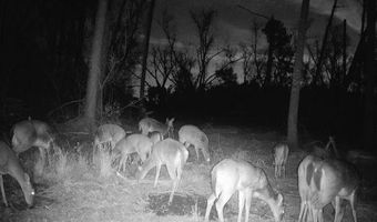 Beaufort Rd. & Warnock Rd, Alma, GA 31510