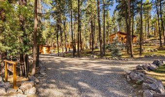24 County Rd 2267, Alpine, AZ 85920