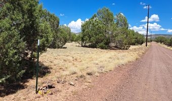 20614014 E W Isabella Ln, Ash Fork, AZ 86032