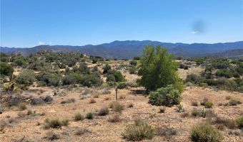 62594 Bear Track Ct, Anza, CA 92539