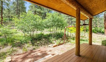 299 Antelope Dr, Bayfield, CO 81122