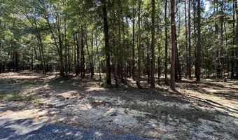 252 Pebble Cove Rd, Abbeville, AL 36310