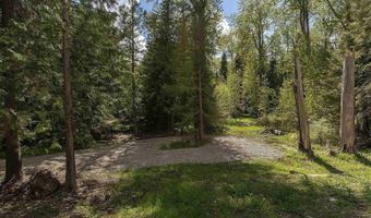 Fortyniner Ln, Bonners Ferry, ID 83805