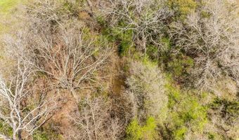 Lot 8 Ranches at Comanche Point, Hico, TX 76457