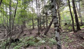 Map17-Lot 31 & 33 River Road, Bath, NH 03740