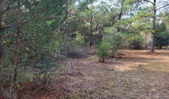 00 NW Tommy Tucker Rd Lot 1, Altha, FL 32421