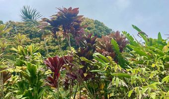 Hana Hwy lot 20, Hana, HI 96713
